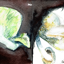 Omphalotus nidiformis - "ghost". Traditional illustration, Painting, Watercolor Painting, Artistic Drawing, Botanical Illustration, and Naturalistic Illustration project by Rune Davino-Collins - 09.29.2021