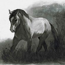 Charcoal horse. Traditional illustration project by mcpaan - 10.01.2021