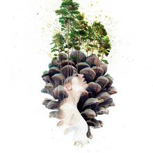 "Serendipity" (Pine forest of Valsaín) Ein Projekt aus dem Bereich Traditionelle Illustration, L, schaftsbau, Aquarellmalerei und Bleistiftzeichnung von Mentiradeloro Esther Cuesta - 01.10.2021