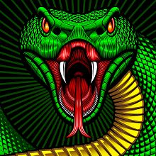 Mat Beast "Green Viper" rash guard illustration. Traditional illustration, and Digital Illustration project by Matt Curtis - 01.27.2020