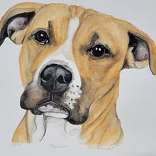 My project in Expressive Animal Portraits in Watercolor course. Projekt z dziedziny Trad, c, jna ilustracja, Malowanie akwarelą, R, sunek realist, czn, Ilustracja naturalist i czna użytkownika Kim Knight - 01.10.2021