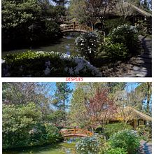 Mi Proyecto del curso: Introducción a Capture One . % German Suarez tarafından hazırlanan Fotoğrafçılık, Sanat Yönetmenliği, Fotoğraf Rötuşlama, Ve Dijital Fotoğrafçılık projesi - 10.05.2021