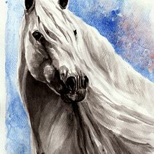My project in Expressive Animal Portraits in Watercolor course White Horse study. Traditional illustration, Watercolor Painting, Realistic Drawing, and Naturalistic Illustration project by Lucie Mizutani - 10.01.2021