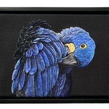 Hyacinth Macaw Portrait. Un proyecto de Tejido, Ilustración naturalista				 y Artesanía de Dani Ives - 02.10.2021