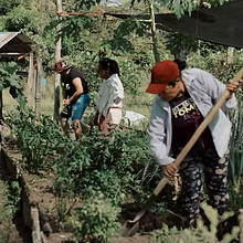Chagras indigenas. Cinema, Vídeo e TV, Design de iluminação, Cinema e Iluminação fotográfica projeto de Branly Ruiz Ortiz - 28.02.2021