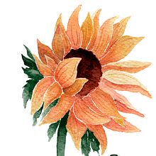 31 dias 31 dibujos 2021. Traditional illustration, and Editorial Illustration project by Pilar Clavijo Coronel - 07.30.2021
