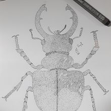 " Day 1 " 31Days 31Drawings 2021. Art Direction, and Traditional illustration project by Nhị Lý - 09.26.2021