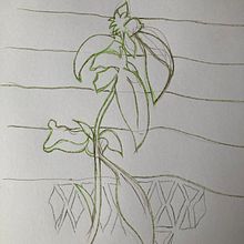 31 days 31 drawings 2021. Drawing project by Kenneth McLoone - 09.12.2021