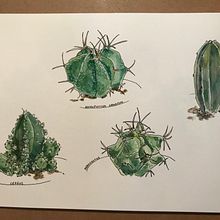 My project in Botanical Sketchbooking: A Meditative Approach course. Traditional illustration, Sketching, Drawing, Watercolor Painting, Botanical Illustration, and Sketchbook project by Jeni Bylsma - 10.03.2021