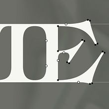 Stevie logotype. Projekt z dziedziny Projektowanie graficzne, Typografia i Projektowanie typografii użytkownika Morgane Vantorre - 03.10.2021