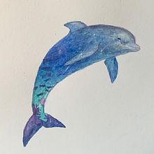 Dolphin. Een project van Traditionele illustratie van Julia - 03.10.2021