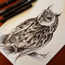 Owl night vision. Un progetto di Illustrazione con inchiostro e Disegno di Kseniia Botsuliak - 02.10.2021