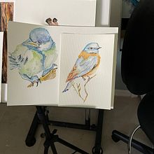 My project in Artistic Watercolor Techniques for Illustrating Birds course. Traditional illustration, Realistic Drawing, and Naturalistic Illustration project by dickster456 - 10.04.2021