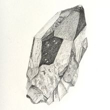 31Days 31Drawings 2021. Pencil Drawing project by Claudia Mercado - 10.03.2021