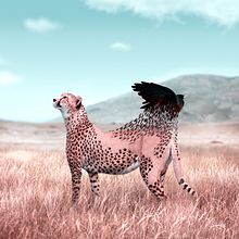 New Flight. Traditional illustration, and Photo Retouching project by Julien Tabet - 03.17.2018