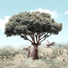 Father Nature. Traditional illustration, and Photo Retouching project by Julien Tabet - 02.21.2021