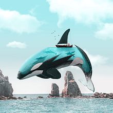 Aquanimal - Orca. Traditional illustration, and Photo Retouching project by Julien Tabet - 10.13.2019