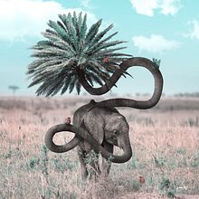Diversity. Traditional illustration, and Photo Retouching project by Julien Tabet - 03.23.2018