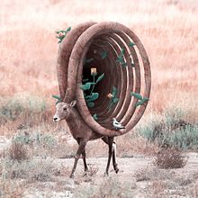 Wild Echoes. Traditional illustration, and Photo Retouching project by Julien Tabet - 01.19.2020