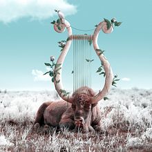 Wisdom. Traditional illustration, and Photo Retouching project by Julien Tabet - 05.24.2020