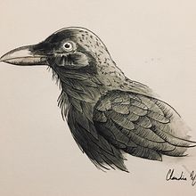 31 Days 31 drawings 2021 jour 4. Ink Illustration, and Drawing project by Claudia Michaud - 10.02.2021