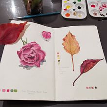 My project in Botanical Watercolor Sketchbook course. Traditional illustration, Watercolor Painting, Botanical Illustration, and Sketchbook project by Rebekah McDonald - 10.05.2021