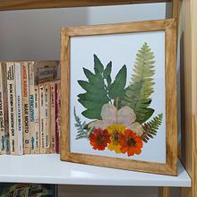 Meu projeto do curso: Técnicas básicas para prensar flores e plantas. Un projet de Artisanat, Beaux Arts, Collage, DIY , et Art floral et végétal de gabsandle - 05.10.2021
