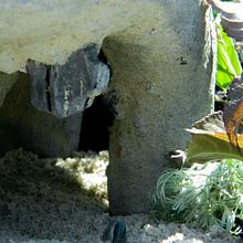 The Watering Hole. Architecture, L, and scape Architecture project by Rebecca Maslowsky - 10.05.2021