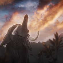 El vuelo. Een project van Fotografie,  Art direction, Fotografische postproductie y  Concept art van Sergio Instanto - 05.10.2021