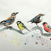 My project in Artistic Watercolor Techniques for Illustrating Birds course. Projekt z dziedziny Trad, c, jna ilustracja, Malowanie akwarelą, R, sunek realist, czn, Ilustracja naturalist i czna użytkownika Marianne Elvan Barfoed - 06.10.2021