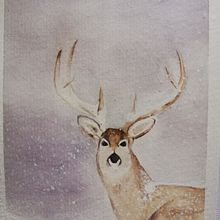 Il mio progetto del corso: Ritratti espressivi di animali ad acquerello. Ilustração tradicional, Desenho realista, Ilustração naturalista, e Pintura em aquarela projeto de Ornella Ferrari - 07.10.2021