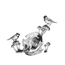 Vida y Muerte. Un progetto di Disegno, Disegno a matita, Disegno realistico, Illustrazione tradizionale e Illustrazione naturalistica di Iván Salamanca - 07.10.2021