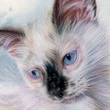 Portraits expressifs d'animaux à l'aquarelle. Traditional illustration, Watercolor Painting, Realistic Drawing, and Naturalistic Illustration project by Martine Savart - 10.07.2021