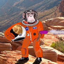 Space Chimp. Un projet de Illustration traditionnelle, Conception de personnages, Illustration numérique , et Peinture numérique de Joe Azzato - 08.10.2021