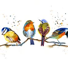 My project in Artistic Watercolor Techniques for Illustrating Birds course. Un progetto di Illustrazione tradizionale, Pittura ad acquerello, Disegno realistico e Illustrazione naturalistica di S Shing Lim - 09.10.2021