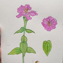 Mi Proyecto del curso: Cuaderno botánico en acuarela. Traditional illustration, Watercolor Painting, Botanical Illustration, and Sketchbook project by Ana Lizbet Quiroz Guevara - 10.09.2021