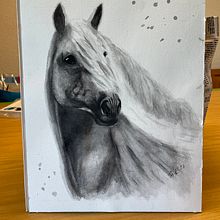 Ausdrucksstarke Tierporträts in Aquarell mit Sarah Stokes. Traditional illustration, and Watercolor Painting project by Therese Keller - 10.10.2021