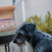 Mi Proyecto del curso: Introducción a la fotografía digital Ein Projekt aus dem Bereich Fotografie und Digitalfotografie von padillamax181 - 07.10.2021
