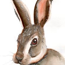 Meu projeto do curso: Técnicas experimentais de aquarela para principiantes . Traditional illustration, Fine Arts, Watercolor Painting, and Naturalistic Illustration project by Sabrina Eliza Rodrigues - 03.16.2021