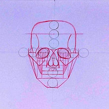 Mi Proyecto del curso: Dibujo anatómico para principiantes. Un proyecto de Bellas Artes, Bocetado, Dibujo a lápiz, Dibujo, Dibujo realista y Dibujo anatómico de Sara Centurión - 11.10.2021