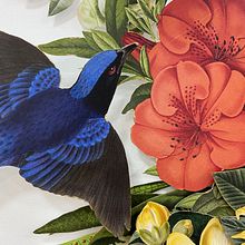 My project in Paper Collage Murals: Create Nature-Inspired Wall Art course. Projekt z dziedziny Craft,  Kolaż, Papercraft,  Dekoracja wnętrz, R i sunek botaniczn użytkownika Merav Peleg - 08.10.2021
