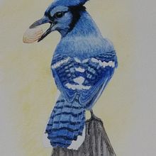 My project in Artistic Watercolor Techniques for Illustrating Birds course. Un progetto di Illustrazione tradizionale, Pittura ad acquerello, Disegno realistico e Illustrazione naturalistica di csteele7 - 12.10.2021
