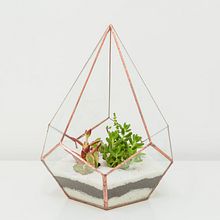 Mi Proyecto del curso: Creación de terrarios con la técnica Tiffany. Un projet de Création d'accessoires, Design d'intérieur, Décoration, DIY , et Art floral et végétal de Páramo Store - 12.10.2021