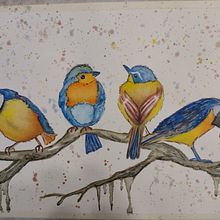 Mi Proyecto del curso: Acuarela artística para ilustración de aves. Een project van Traditionele illustratie, Aquarelschilderen, Realistische tekening y Naturalistische illustratie van Virginia Daga - 12.10.2021