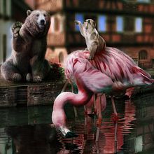 Mi Proyecto del curso: Secretos del fotomontaje y el retoque creativo. Photograph, Photograph, Post-production, VFX, Photo Retouching, Fine-Art Photograph, Photographic Composition, and Photomontage project by Adrian Cesar Gonzalez - 10.13.2021