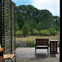 Salvias. L, and scape Architecture project by Kathrin Grimm - 10.13.2021