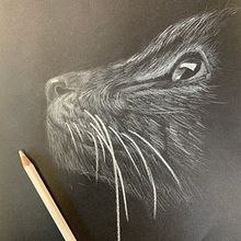 llapis blanc sobre paper negre. Traditional illustration project by yaiza tejada carrasco - 10.13.2021