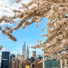 New York City. Photograph, Instagram Photograph, Documentar, Photograph, and Outdoor Photograph project by Manuel Pellón - 12.31.2019