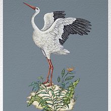 My project in Natural Illustration with Digital Painting course. Projekt z dziedziny Trad, c, jna ilustracja,  R, sunek, Ilustracja c, frowa, R, sunek realist, czn, Malarstwo c, frowe, Ilustracja naturalist i czna użytkownika Ekaterina Yurtaeva - 13.10.2021