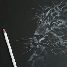 Dibujos sobre papel negro. Traditional illustration, Realistic Drawing, and Portrait Drawing project by Ainhoa Venegas - 10.13.2021